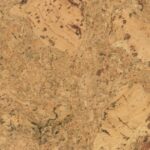 Nanaimo Natural Burl