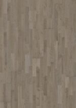 Oak Alloy - Image 2