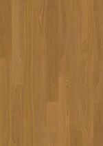 Oak Cloves Plank