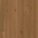 Oak Latte