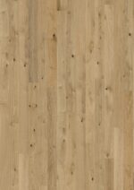 Oak Pure - Image 2