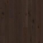 Oak Russet