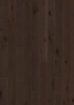 Oak Russet