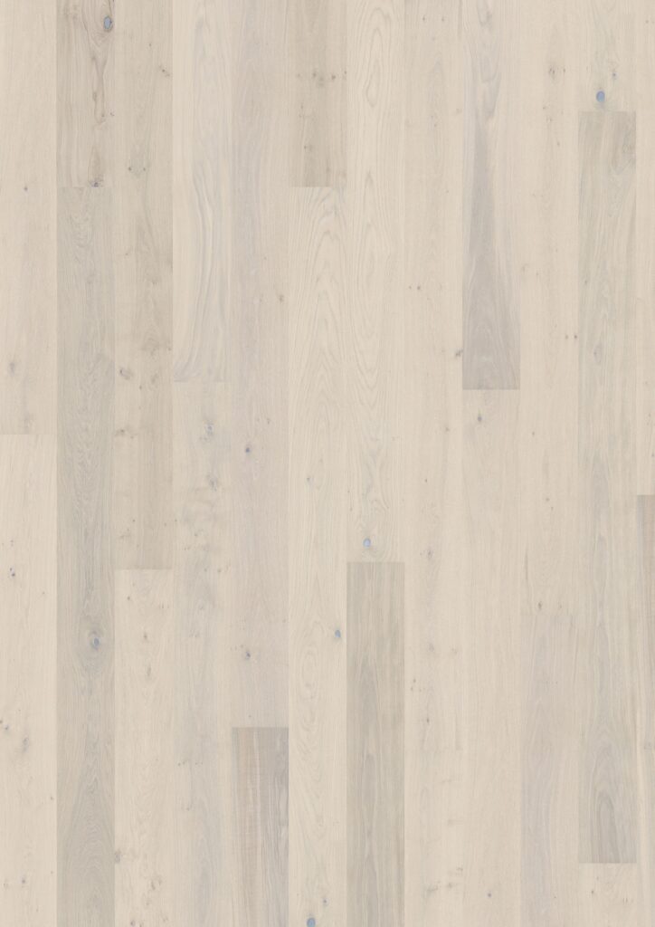oak-sky-01 Oak Sky - Image 1
