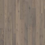 Oak Sture