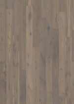 Oak Sture