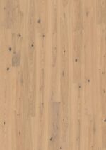Oak Turmeric Plank