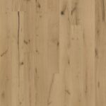 Texture Rohoptic
